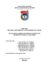 Đề tài: Nguy cơ rủi ro của thuỷ ngân từ hải sản đến phụ nữ có thai và cho con bú | Tiểu luận Độc chất, môi trường và sức khoẻ con người | Trường Đại học khoa học Tự nhiên