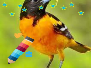 Ôn tập chương 4: Thủy sản | Bài giảng PowerPoint Công nghệ 7 | Kết nối tri thức