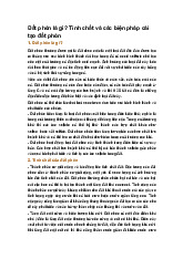 Đất phèn là gì? Tính chất và các biện pháp cải tạo đất phèn