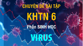 Giáo án điện tử Khoa học tự nhiên 6 bài 24 Chân trời sáng tạo : Virus