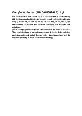 Các yếu tố căn bản (FUNDAMENTALS) là gì