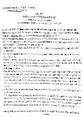 Đề thi cuối kỳ học phần Luật tố tụng dân sự năm 2024 - 2025 | Đại học Luật Thành phố Hồ Chí Minh
