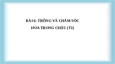 Giáo án điện tử Công nghệ 4 Bài 6 Cánh diều: Trồng và chăm sóc hoa trong chậu (tiết 2)