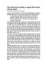 Cách phân loại hợp đồng và nguyên tắc khi giao kết hợp đồng?