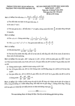 Đề học sinh giỏi Toán 9 năm 2022 – 2023 trường THCS Nguyễn Trường Tộ – Hà Nội