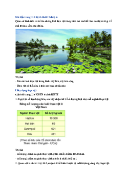 Giải Khoa học tự nhiên lớp 6 - Bài 34: Thực vật | Kết nối tri thức