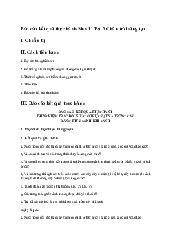 Giải Sinh học 11 Bài 3: Thực hành Thí nghiệm trao đổi nước ở thực vật và trồng cây bằng thủy canh, khí canh | Chân trời sáng tạo