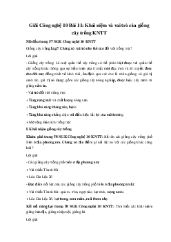 Giải Công nghệ 10 Bài 11: Khái niệm và vai trò của giống cây trồng KNTT