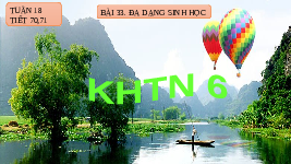 Giáo án điện tử Khoa học tự nhiên 6 bài 33 Chân trời sáng tạo : Đa dạng sinh học