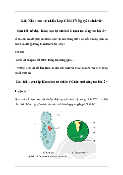 Giải Khoa học tự nhiên 6 Bài 27: Nguyên sinh vật - Chân Trời Sáng Tạo