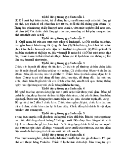 TOP 30 đoạn văn Tả về đồ dùng trong gia đình lớp 2 | Tập làm văn lớp 2 | Kết nối tri thức