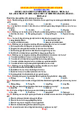 Đề Cương Ôn Tập Học Kỳ 1 Lịch Sử 10 Kết Nối Tri Thức 2025-2026 Có Đáp Án