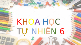 Giáo án điện tử Khoa học tự nhiên 6 bài 6 Kết nối tri thức : Đo khối lượng