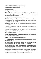 Bộ long não Môn Thực vật dược | Đại học Kỹ thuật Y - Dược Đà Nẵng