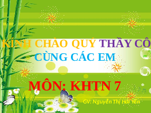 Giáo án điện tử Khoa học tự nhiên 7 bài 16 Kết nối tri thức : Sự phản xạ ánh sáng