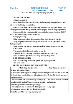 Giáo án Khoa học lớp 4 Tuần 17 | Chân trời sáng tạo