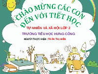 Giáo án điện tử Tự nhiên và Xã hội 2 Bài 30 Kết nối tri thức: Luyện tập ứng phó với thiên tai