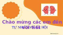 Giáo án điện tử Tự nhiên và Xã hội 2 Bài 26 Kết nối tri thức: Chăm sóc, bảo vệ cơ quan bài tiết nước tiểu