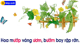 Giáo án điện tử Tiếng Việt 1 Tập 1 Bài 72 Kết nối tri thức: Ươm, ươp