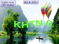 Giáo án điện tử Khoa học tự nhiên 6 bài 28 Chân trời sáng tạo : Nấm