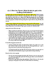 Nghiên cứu về vai trò của Toyota Mirai trong sáng kiến Thử thách | Nguyên Lý Marketing | Đại học Tôn Đức Thắng