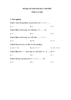 Đề kiểm tra cuối tuần Toán lớp 2 Cánh Diều: Tuần 6