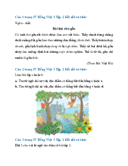 Giải SGK Tiếng Việt 3 trang 57 Bài 13: Mèo đi câu cá - Viết | Kết nối tri thức