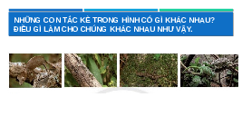 Giáo án điện tử Khoa học tự nhiên 6 bài 33 Chân trời sáng tạo : Đa dạng sinh học