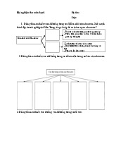 Bài Nghiệm Thu Môn Học Pháp luật đại cương: Phân Tích Nhà Nước và Pháp Luật | Đại học Hoa Sen