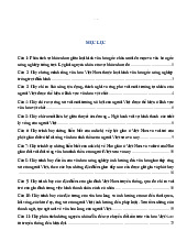 Phân tích và ứng dụng trong đời sống Việt Nam| Môn Đại cương văn hóa- Trường Đại học Lao động - Xã hội