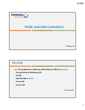 Thuốc giảm đau - Hóa dược: Tổng quan và Phân loại. Môn Hóa dược | Đại học Trường Đại học Phenika.