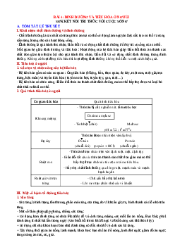 Chuyên đề KHTN 8 Kết nối tri thức bài 32 Dinh dưỡng và tiêu hóa ở người