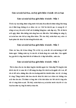 Văn mẫu Sắm vai một loài hoa, em hãy giới thiệu về mình với các bạn (3 mẫu) | Kết nối tri thức