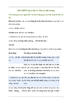 Giải KHTN 8 Bài 47: Bảo vệ môi trường | Kết nối tri thức