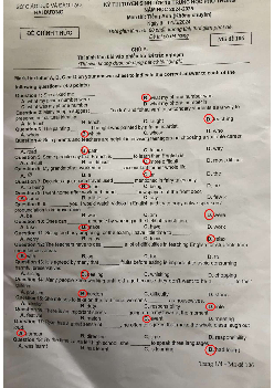 Đề thi tuyển sinh vào 10 môn Tiếng Anh của Sở GD&ĐT Hải Dương năm học 2024 - 2025
