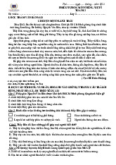 Phiếu cuối tuần môn tiếng việt tuần 13