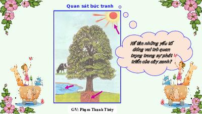 Bài giảng điện tử môn Khoa học tự nhiên 7  Sinh Học Bài 30: Trao đổi nước và chất dinh dưỡng ở thực vật | Kết nối tri thức