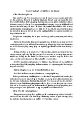 Chó phốc sóc là gì? Lưu ý khi nuôi chó phốc sóc