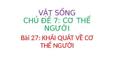 Giáo án điện tử Khoa học tự nhiên 8 Bài 27 Cánh diều: Khái quát về cơ thể người