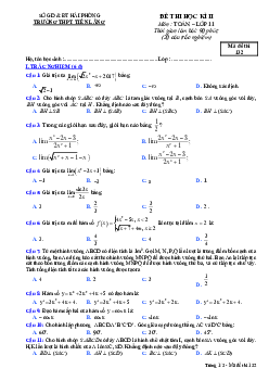 Đề thi HK2 Toán 11 năm học 2016 – 2017 trường THPT Tiên Lãng – Hải Phòng