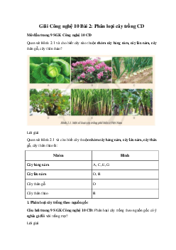 Giải Công nghệ 10 Bài 2: Phân loại cây trồng CD