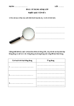 Chương1. Bài 3: Kính lúp(Phiếu học tập) | Bài giảng Khoa học tự nhiên 6 | Kết nối tri thức
