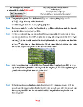 Bộ Đề Ôn Thi Toán Tuyển Sinh 10 Quận 11 TP HCM 2025-2026 Giải Chi Tiết