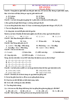 TOP 5 bộ đề ôn thi tốt nghiệp THPTQG 2021 môn sinh học bộ 1 (có đáp án)