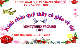 Giáo án điện tử TN&XH 3 Bài 9 Kết nối tri thức: Hoạt động sản xuất nông nghiệp