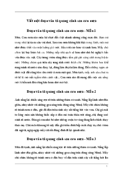 Tập làm văn lớp 5: Đoạn văn tả quang cảnh sau cơn mưa (9 mẫu)