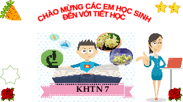Giáo án điện tử Khoa học tự nhiên 7 bài 30 Chân trời sáng tạo : Trao đổi nước và các chất dinh dưỡng ở động vật