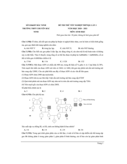 Đề thi thử THPT Quốc gia 2021 môn Sinh học trường chuyên Bắc Ninh lần 1 có đáp án