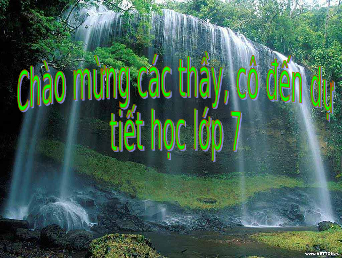 Giáo án điện tử Công nghệ 7 Bài 6 Chân trời sáng tạo:  Rừng ở Việt Nam