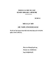 Tiểu luận môn chủ nghĩa xã hội | Trường đại học Điện Lực